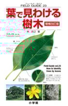 フィールド・ガイドシリーズ23  葉で見わける樹木 増補改訂版23 (ガイドシリーズ)