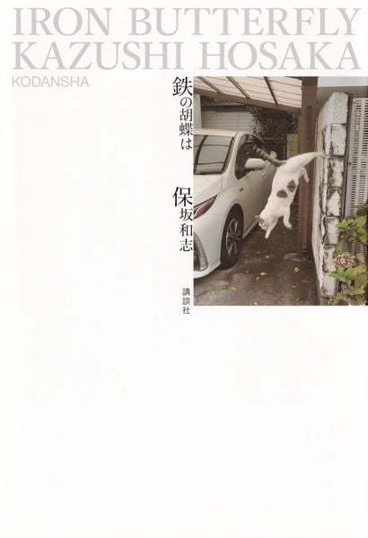 鉄の胡蝶は