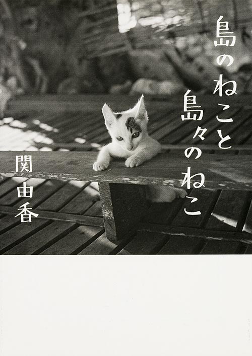 島のねこと島々のねこ (MF文庫ダ・ヴィンチ)