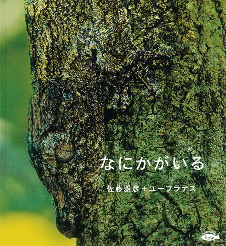 なにかがいる (かがくのとも絵本)
