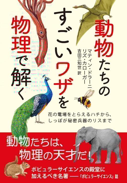 動物たちのすごいワザを物理で解く 花の電場をとらえるハチから、しっぽが秘密兵器のリスまで