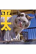 平太 なにわのぶちゃいどる猫