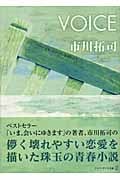 VOICE (アルファポリス文庫)