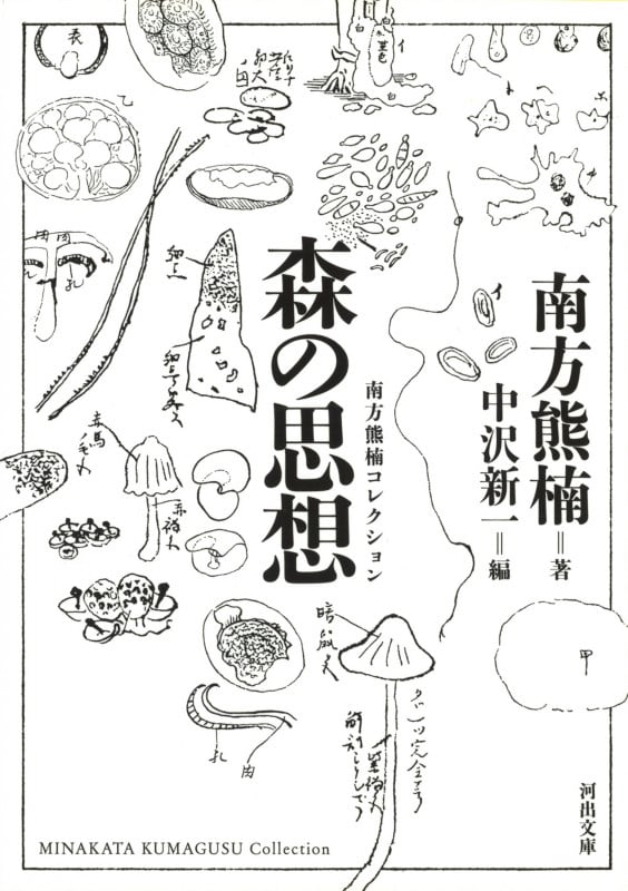 森の思想 新装版 (河出文庫)