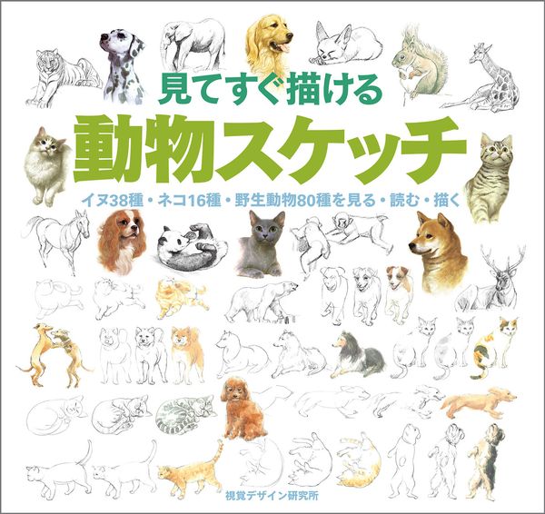 見てすぐ描ける 動物スケッチ イヌ38種・ネコ16種・野生動物80種を見る・読む・描く (みみずく スケッチ シリーズ)