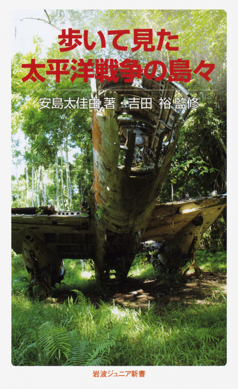 歩いて見た太平洋戦争の島々 (岩波ジュニア新書)