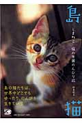 島猫 猫の楽園のんびり旅