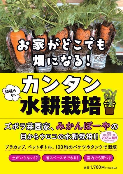 お家がどこでも畑になる! 頑張らないカンタン水耕栽培の詳細を見る