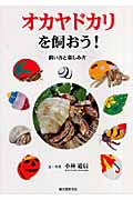 オカヤドカリを飼おう! 飼い方と楽しみ方