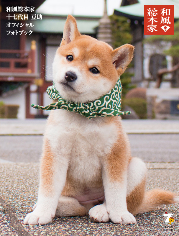 写真集 和風総本家 十七代目豆助 オフィシャルフォトブック