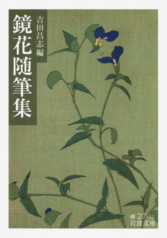 泉鏡花年譜/昭和女子大学出版会/吉田昌志（単行本） 泉鏡花年譜 | 吉田昌志のあらすじ・感想 - ブクログ