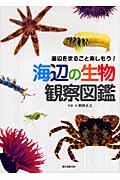海辺の生物観察図鑑 海辺をまるごと楽しもう!の詳細を見る