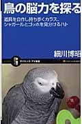 鳥の脳力を探る 道具を自作し持ち歩くカラス、シャガールとゴッホを見分けるハト (サイエンス・アイ新書)