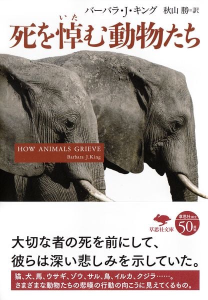 文庫 死を悼む動物たち (草思社文庫)