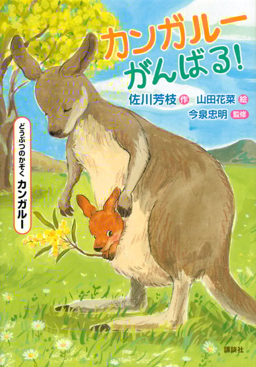 カンガルーがんばる! どうぶつのかぞく カンガルー