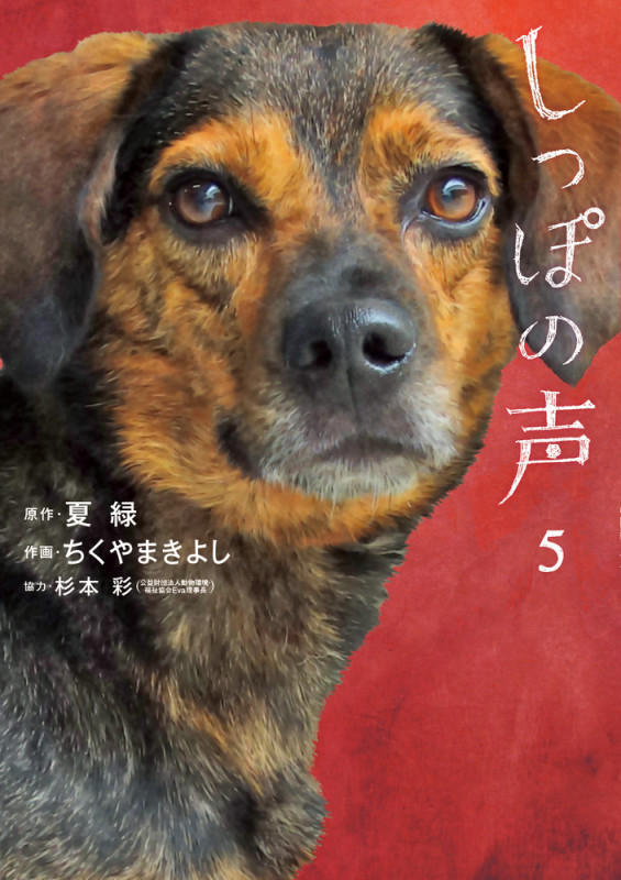 しっぽの声 (5) (ビッグC)