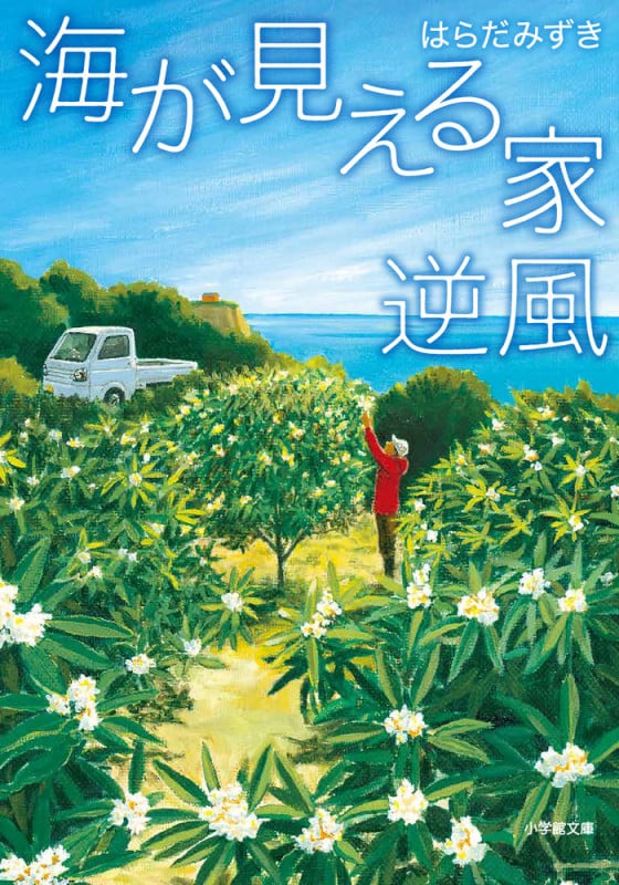 海が見える家 逆風 (小学館文庫)