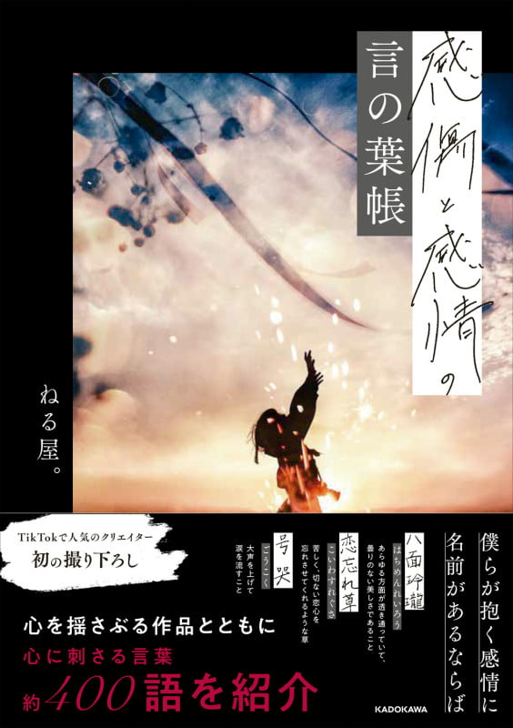 感傷と感情の言の葉帳の詳細を見る