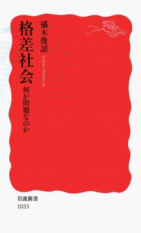 格差社会 何が問題なのか (岩波新書)