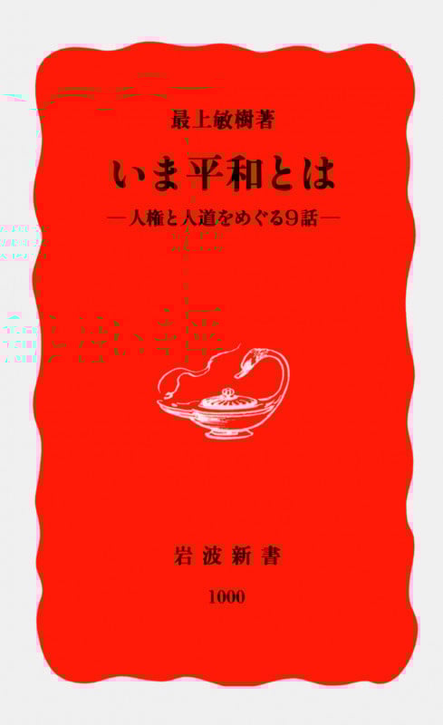 いま平和とは 人権と人道をめぐる9話 (岩波新書 新赤版1000)
