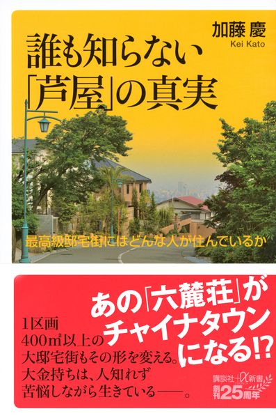 誰も知らない「芦屋」の真実 最高級邸宅街にはどんな人が住んでいるか (講談社+α新書)