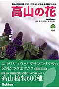 高山の花 イラストでちがいがわかる名前がわかる (自然発見ガイド)