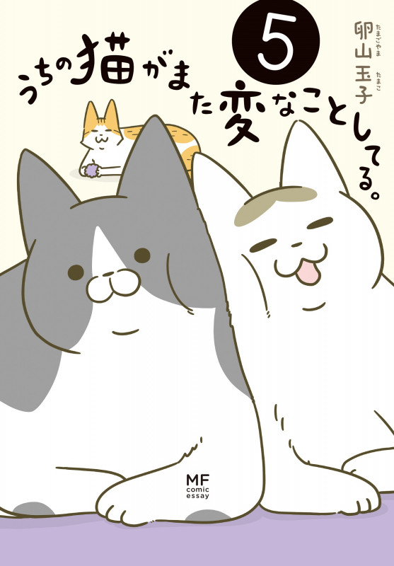 うちの猫がまた変なことしてる。5 (5)