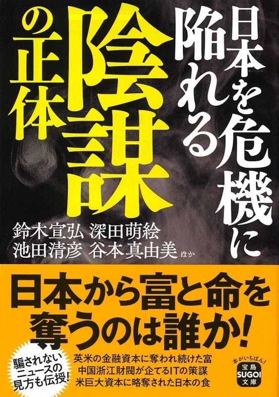 日本を危機に陥れる陰謀の正体 (宝島SUGOI文庫)
