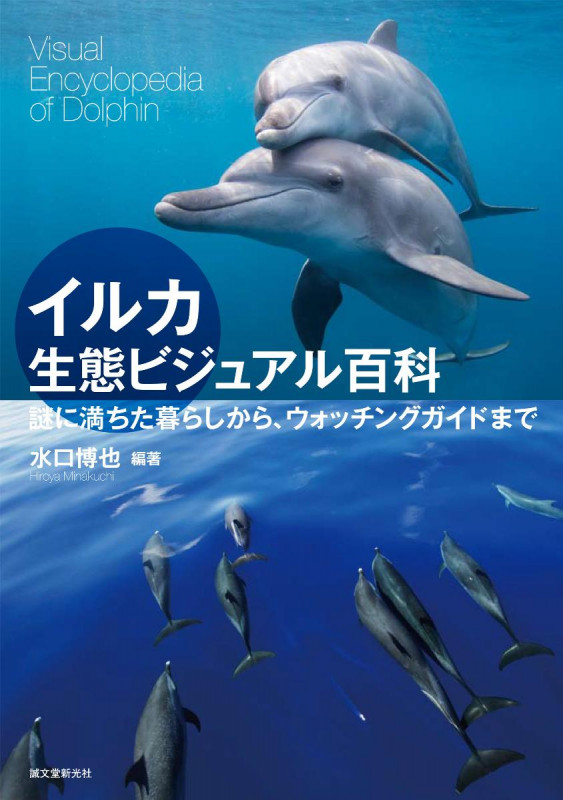イルカ生態ビジュアル百科 謎に満ちた暮らしから、ウォッチングガイドまでの詳細を見る