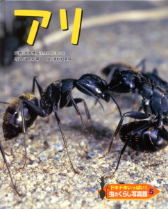ドキドキいっぱい!虫のくらし写真館 アリ (5)