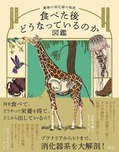 食べた後どうなっているのか図鑑 動物の消化器の秘密