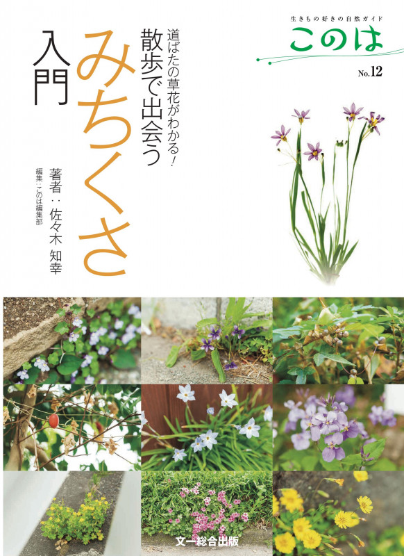 散歩で出会うみちくさ入門 道ばたの草花がわかる! (生きもの好きの自然ガイドこのは No12)