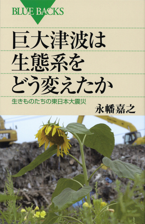 巨大津波は生態系をどう変えたか 生きものたちの東日本大震災 (ブルーバックス)