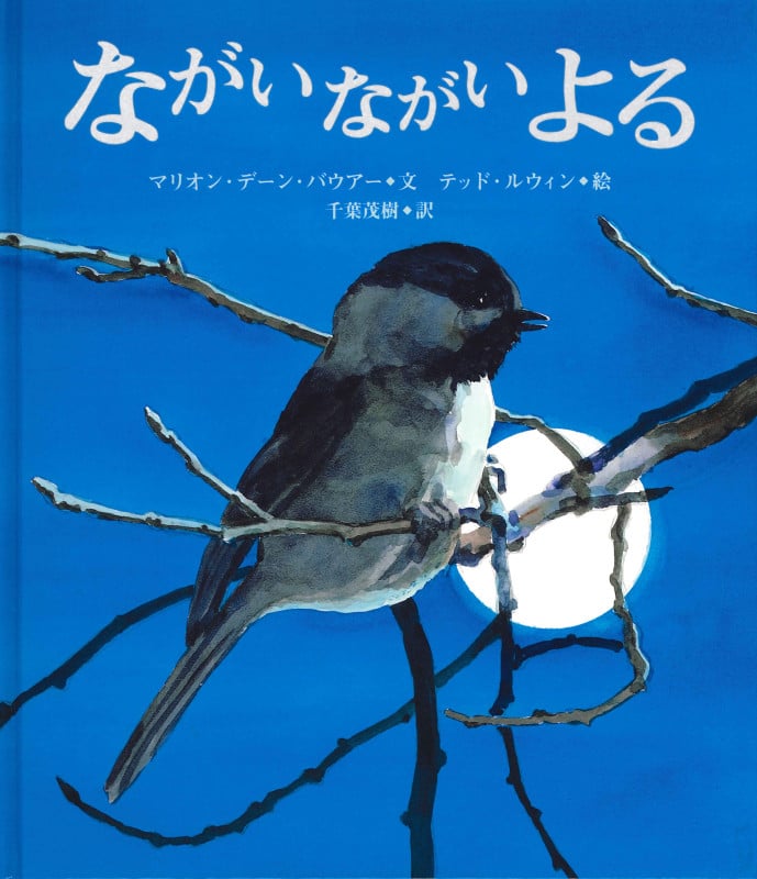 ながいながいよる (大型絵本)の詳細を見る