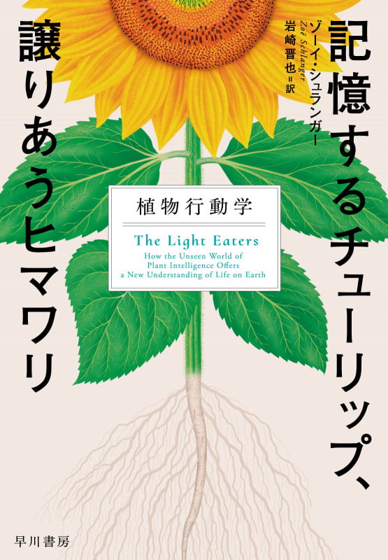 記憶するチューリップ、譲りあうヒマワリ 植物行動学