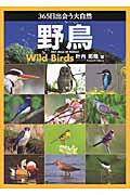 365日出会う大自然 野鳥の詳細を見る