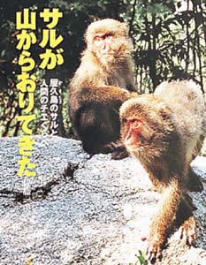 サルが山からおりてきた 屋久島のサルと人間のチエくらべ (ポプラ社いきいきノンフィクション 8)
