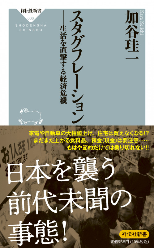 スタグフレーションーー生活を直撃する経済危機 (祥伝社新書)