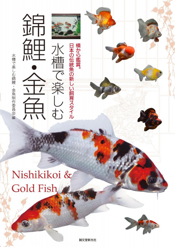 水槽で楽しむ錦鯉・金魚 横から鑑賞。日本の伝統魚の新しい飼育スタイルの詳細を見る