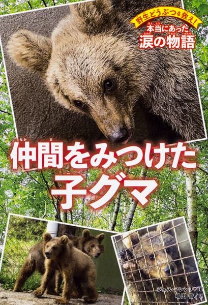 野生どうぶつを救え! 本当にあった涙の物語 仲間をみつけた子グマ