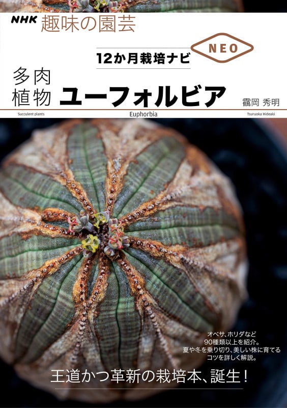 多肉植物 ユーフォルビア (NHK趣味の園芸 12か月栽培ナビNEO) (NHK趣味の園芸 12か月栽培ナビNEO)