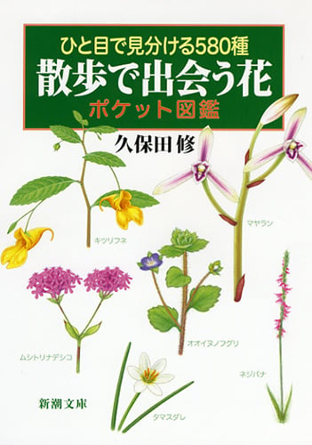 ひと目で見分ける580種 散歩で出会う花 ポケット図鑑 (新潮文庫)