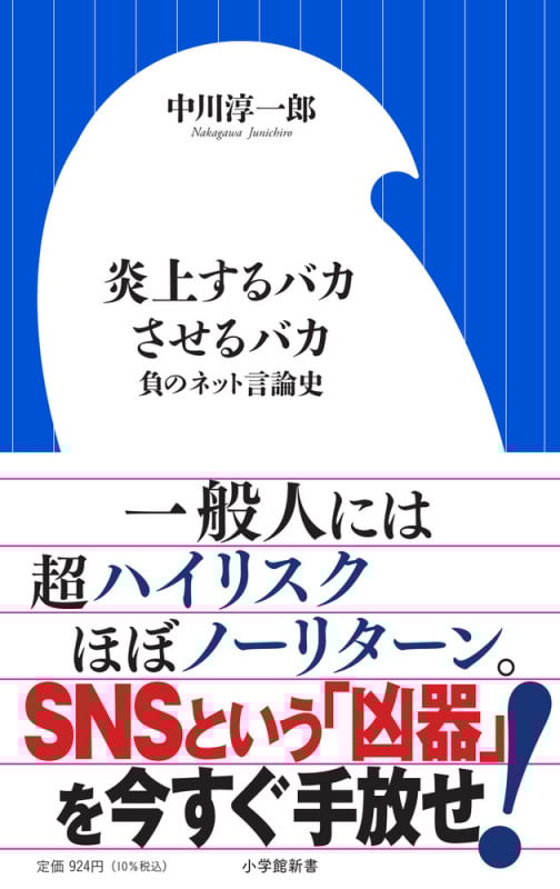 炎上するバカさせるバカ 負のネット言論史 (小学館新書)