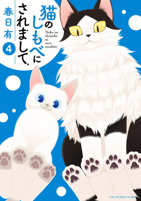 猫のしもべにされまして (4) (裏少年サンデーC)