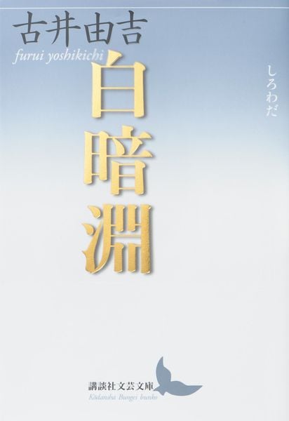 白暗淵 (講談社文芸文庫)の詳細を見る