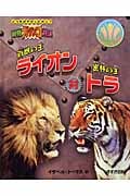 百獣の王ライオン対密林の王トラ 動物ガチンコ対決