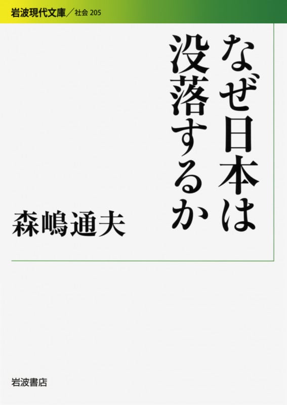なぜ日本は没落するか (岩波現代文庫 社会 205)