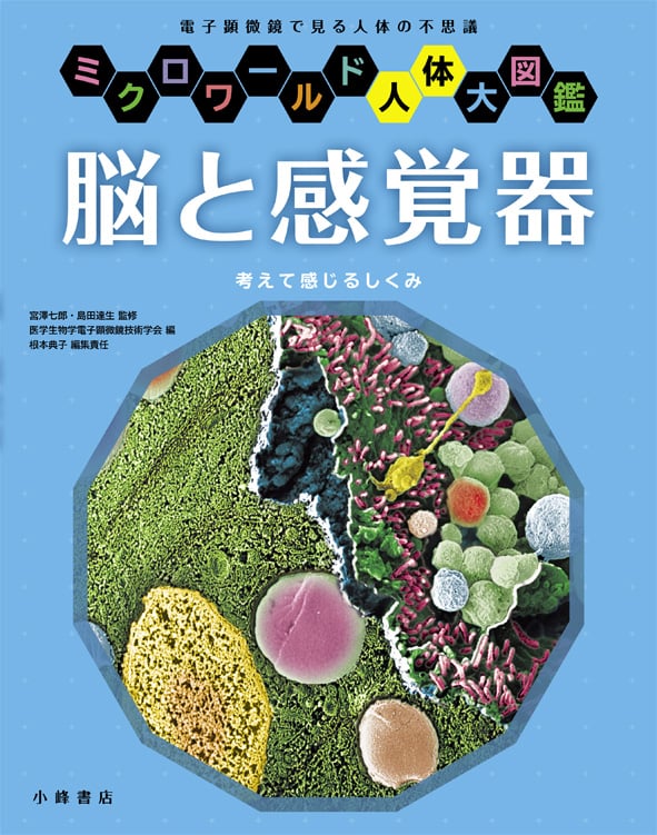 脳と感覚器 (ミクロワールド人体大図鑑)