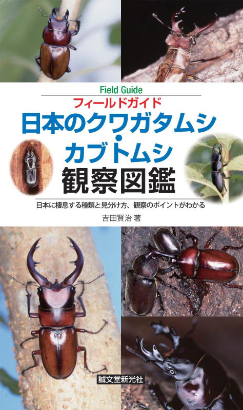 日本のクワガタムシ・カブトムシ観察図鑑 日本に棲息する種類と見分け方、観察のポイントがわかる (フィールドガイド)の詳細を見る