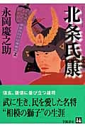 北条氏康 (人物文庫)